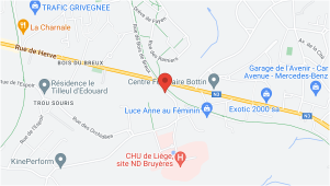 Google Maps